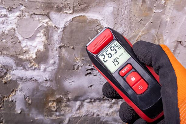 Best Residential Mold Removal  in Flossmoor, IL