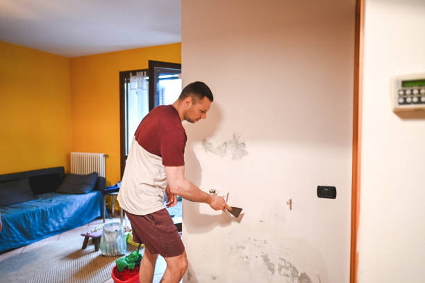 Best Crawl Space Mold Removal  in Flossmoor, IL